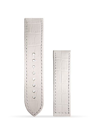Alligator blanc
